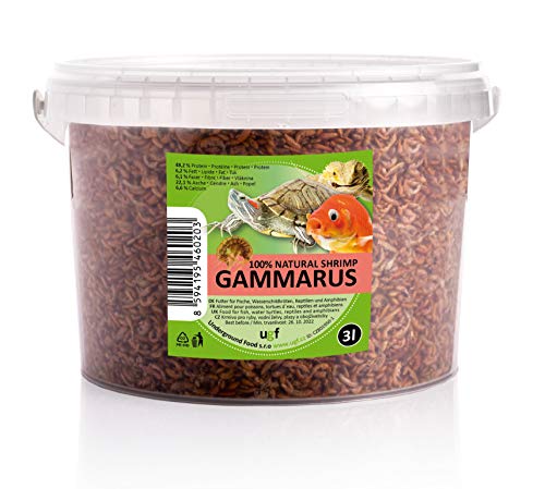 UGF - Crevettes deau Douce Premium Gammarus séchées, Seau de