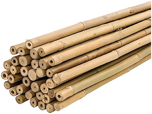 PLANTAWA - Tuteurs en Bambou 90 cm Lot de 25 pièces Ø 10-12 