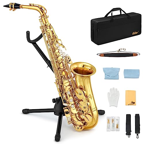 Eastar AS-Ⅱ Étudiant Saxophone Alto E Plat Or Laque Alto Déb