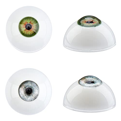 PH PandaHall 2 Paires 32mm Yeux Humains réalistes Grands Glo