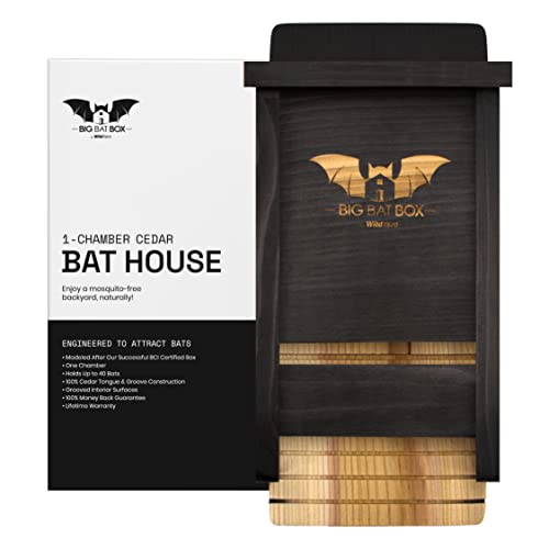 Wildyard Bat House for Outdoors - La Maison Complète pour Ch